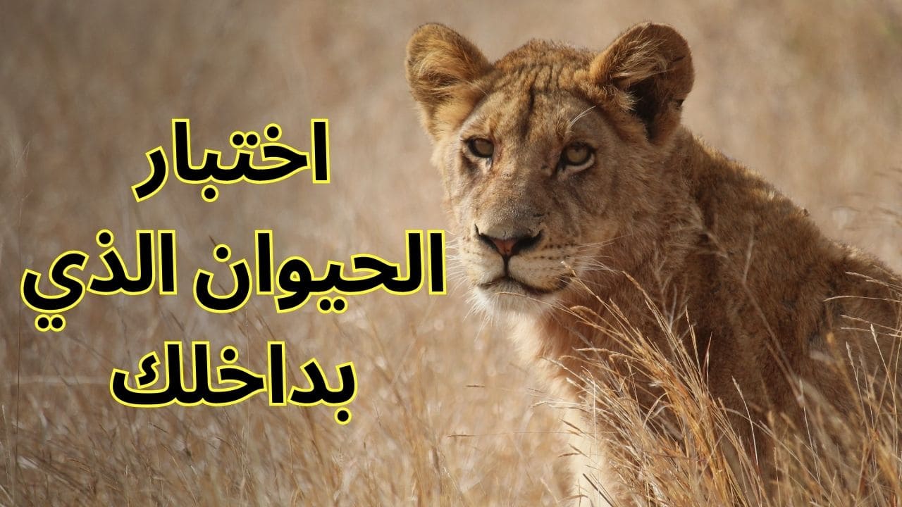 اختبار الحيوان الذي بداخلك